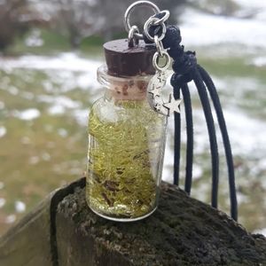 Glass bottle pendant moss
